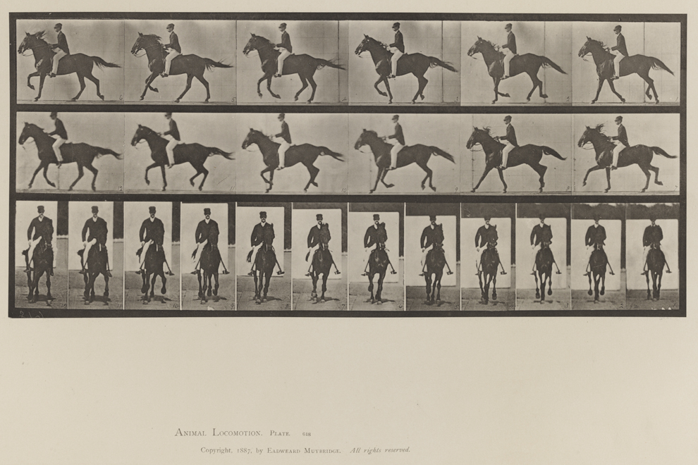 Animal Locomotion, Volume IX, Horses. Plate 618