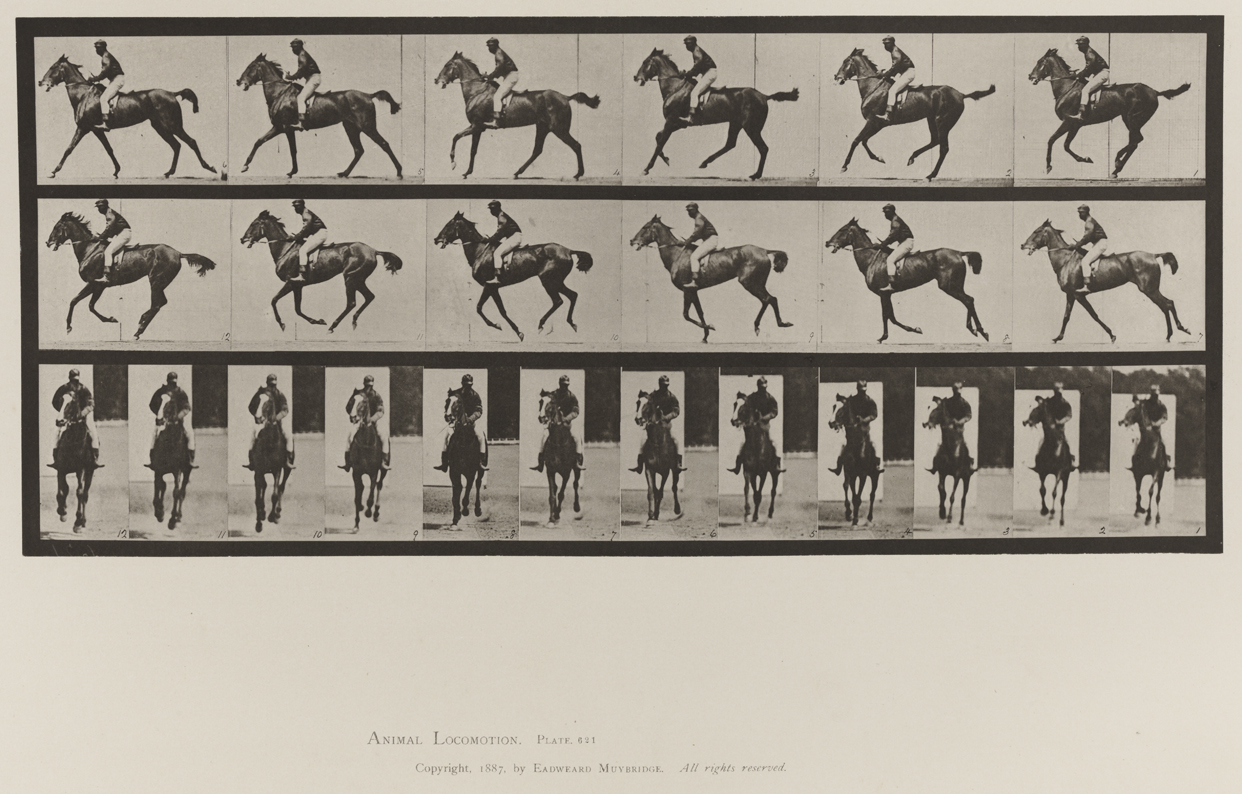 Animal Locomotion, Volume IX, Horses. Plate 621