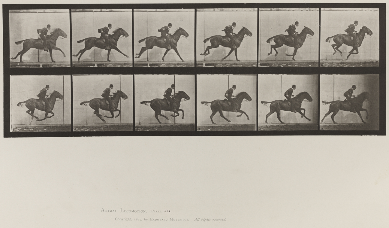Animal Locomotion, Volume IX, Horses. Plate 624