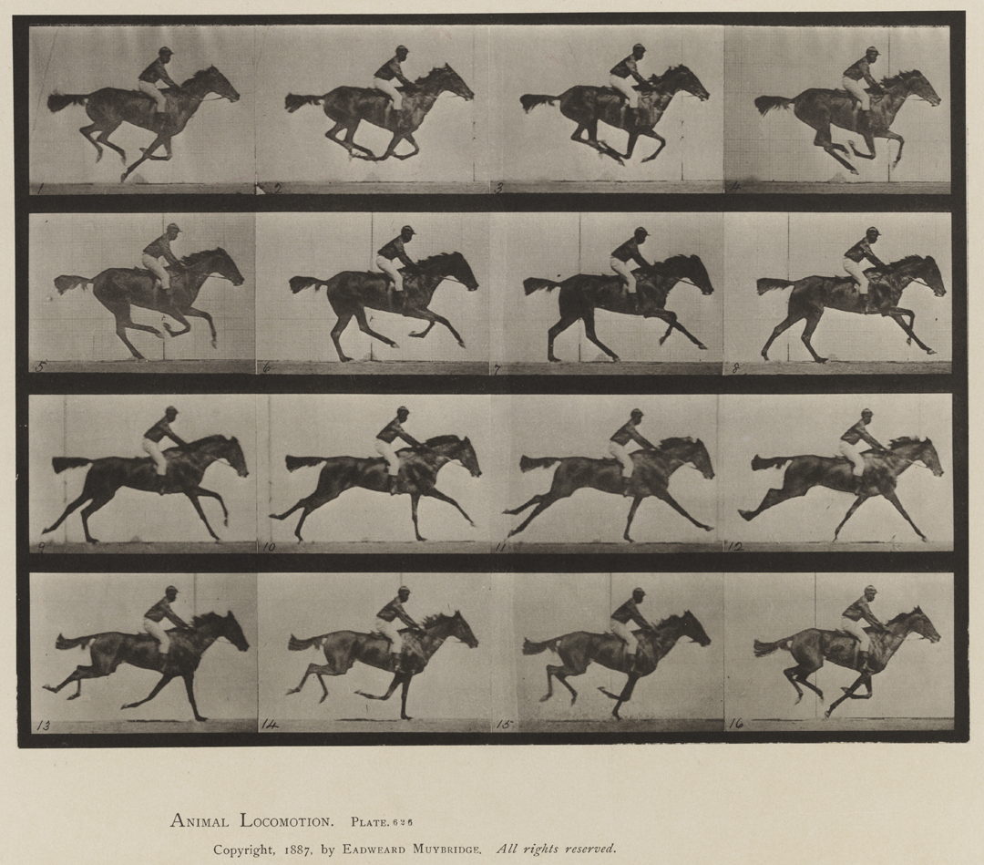 Animal Locomotion, Volume IX, Horses. Plate 626