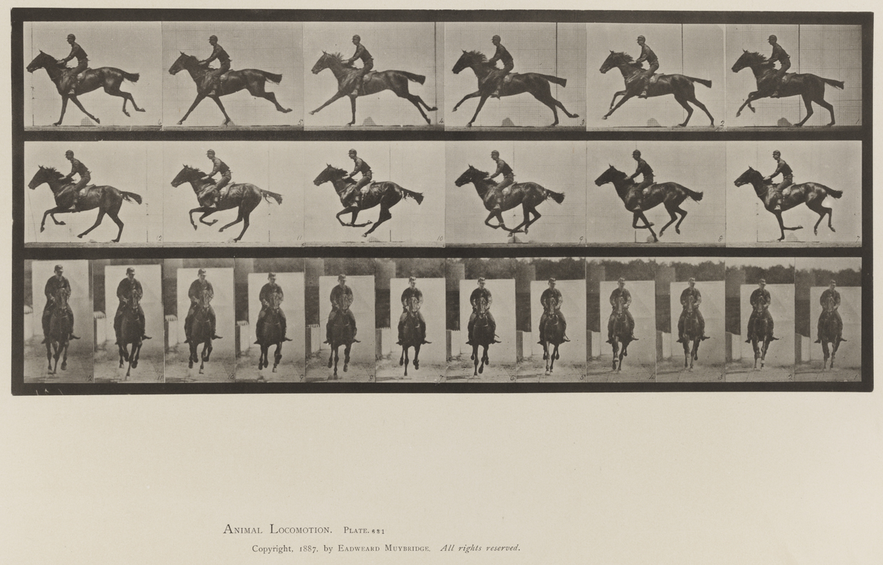 Animal Locomotion, Volume IX, Horses. Plate 631