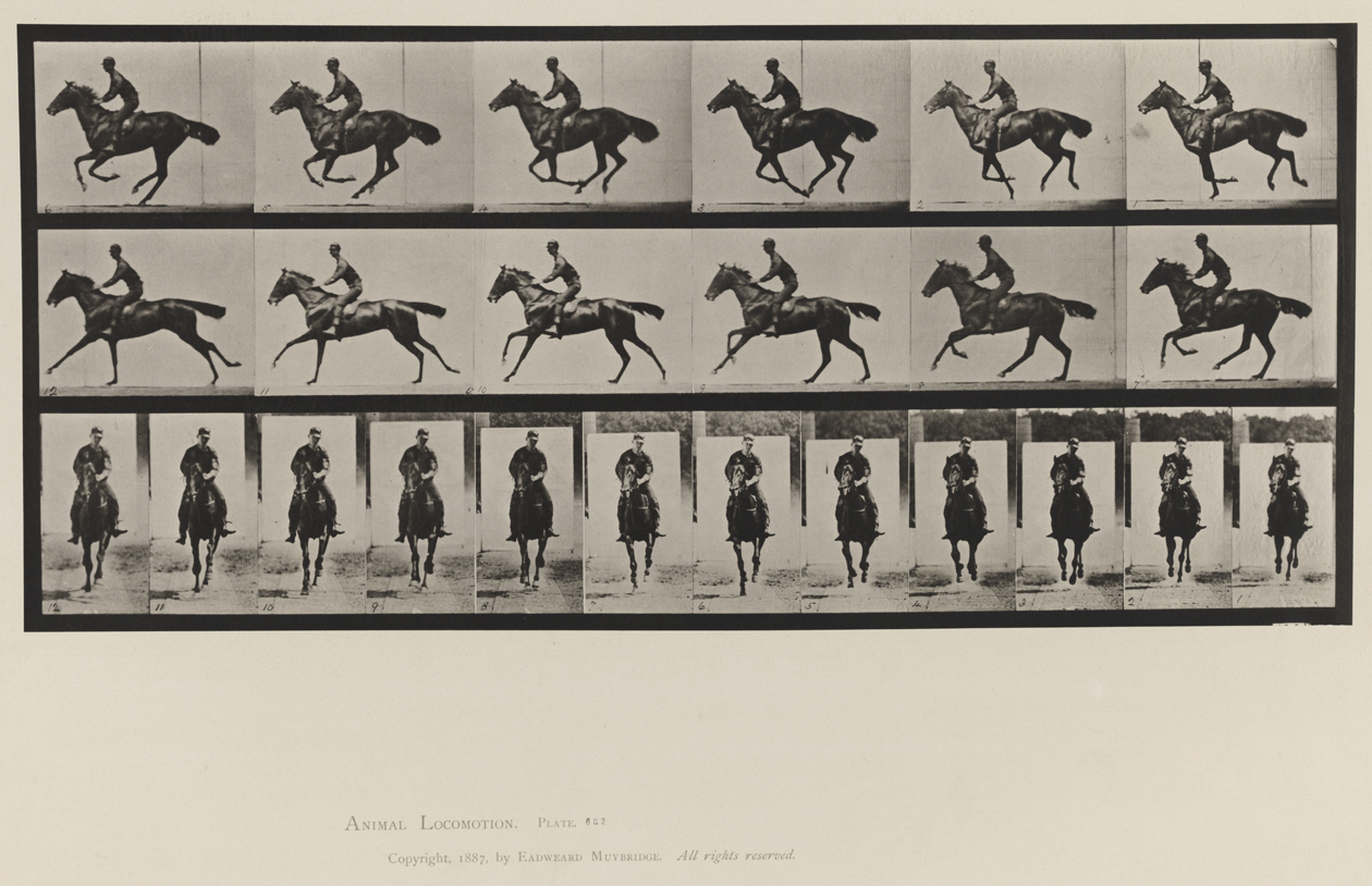 Animal Locomotion, Volume IX, Horses. Plate 632