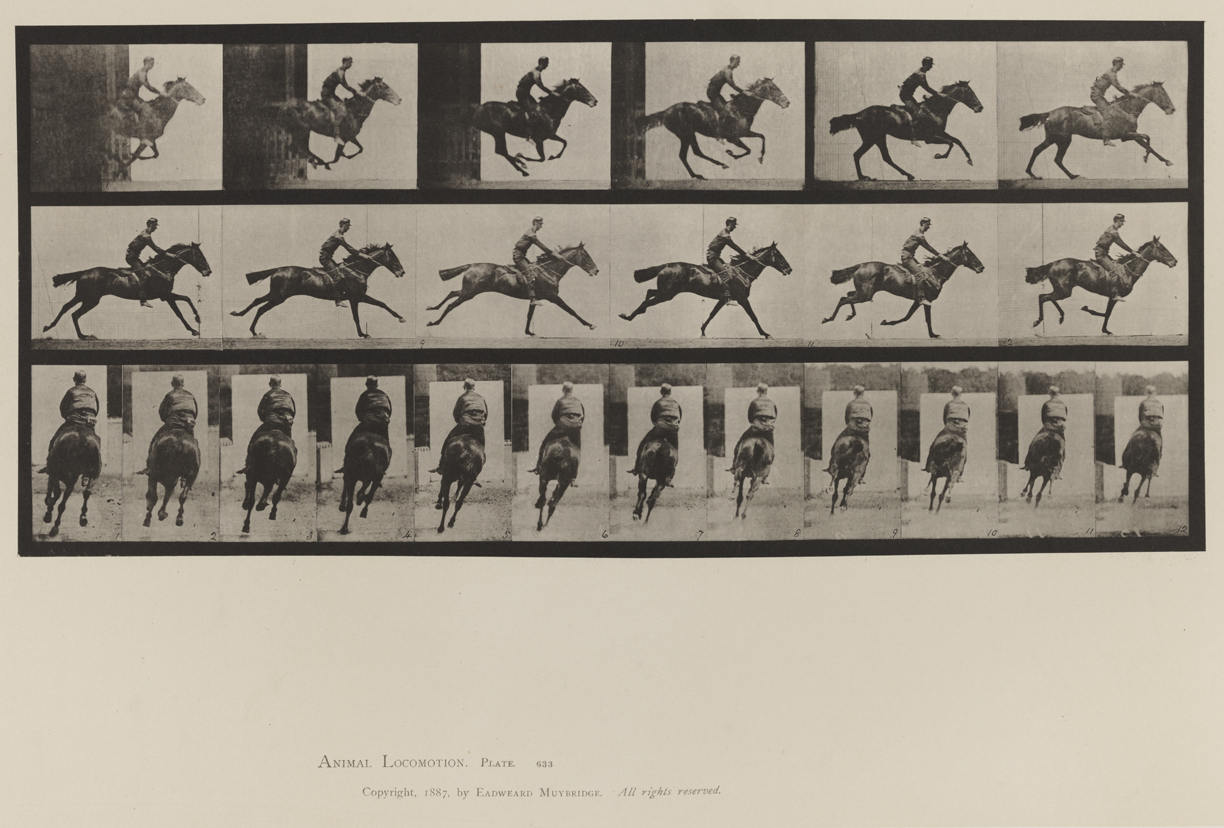 Animal Locomotion, Volume IX, Horses. Plate 633