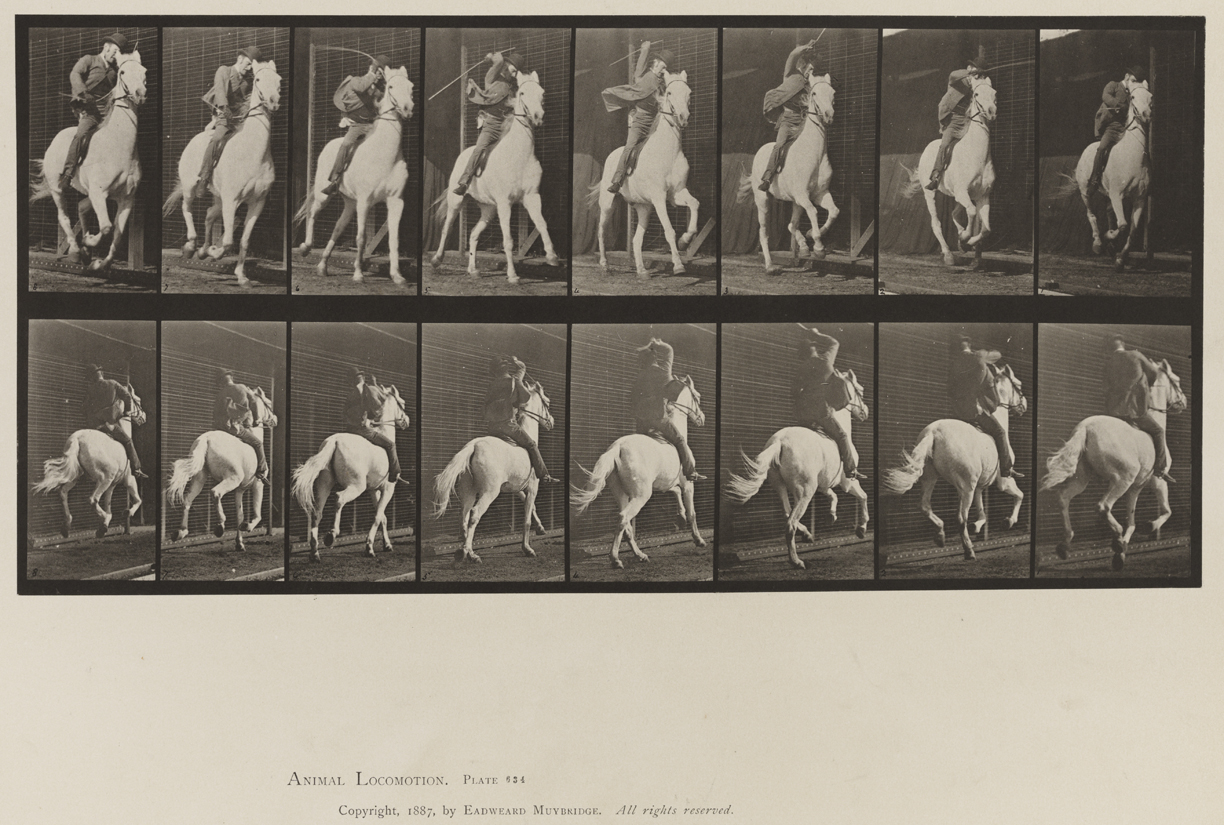 Animal Locomotion, Volume IX, Horses. Plate 634