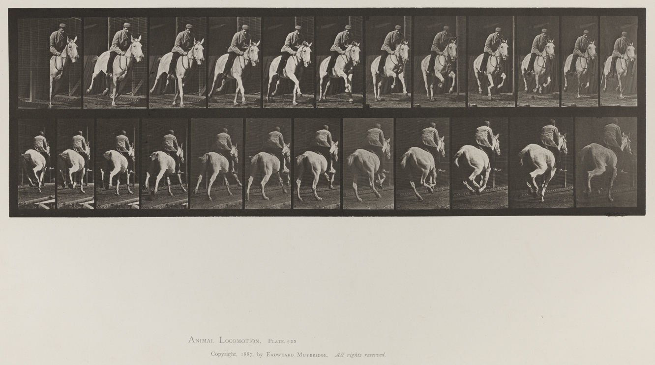 Animal Locomotion, Volume IX, Horses. Plate 635