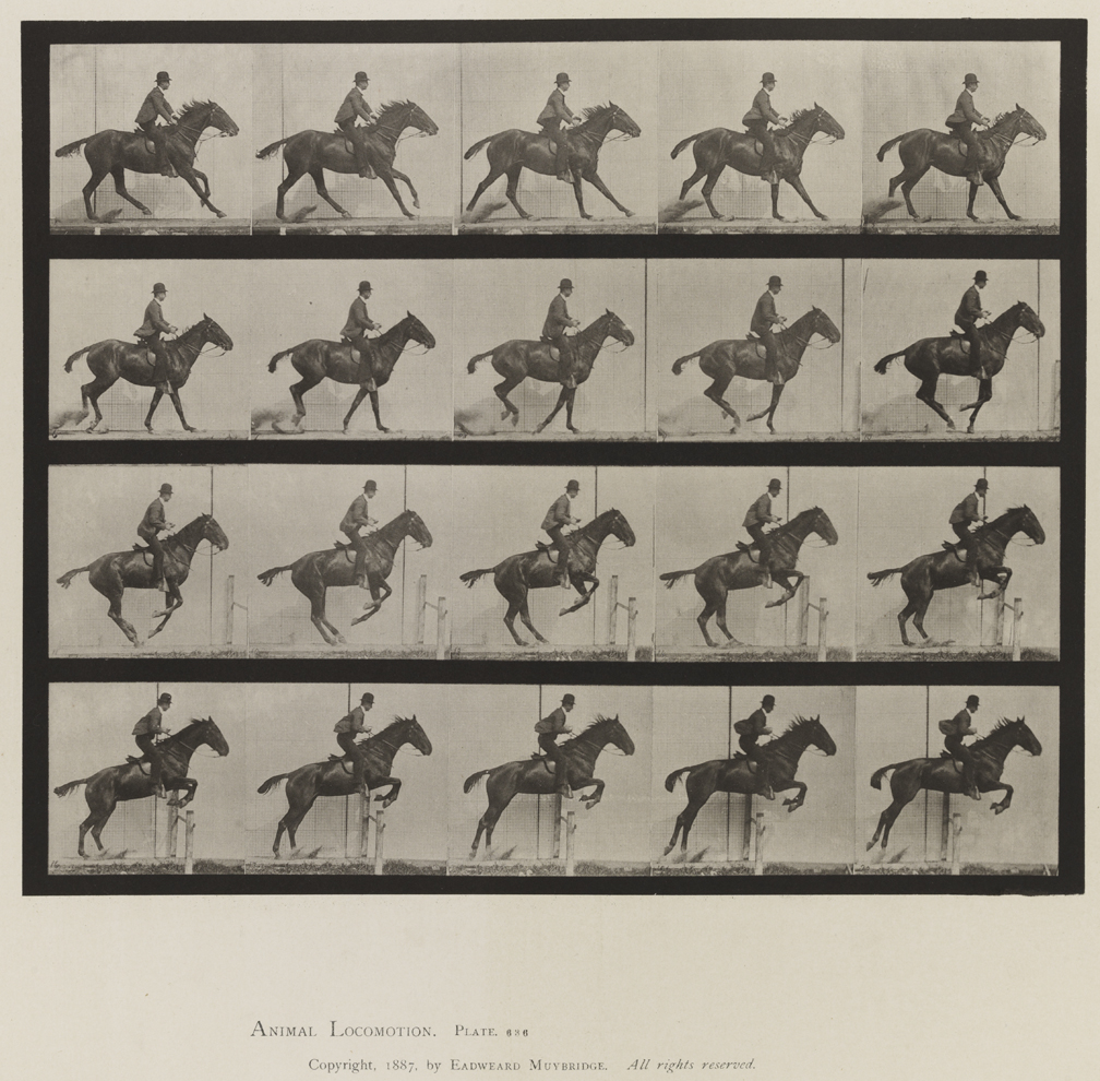 Animal Locomotion, Volume IX, Horses. Plate 636