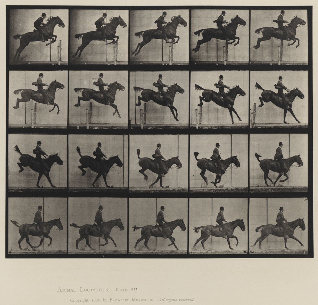 Animal Locomotion, Volume IX, Horses. Plate 637