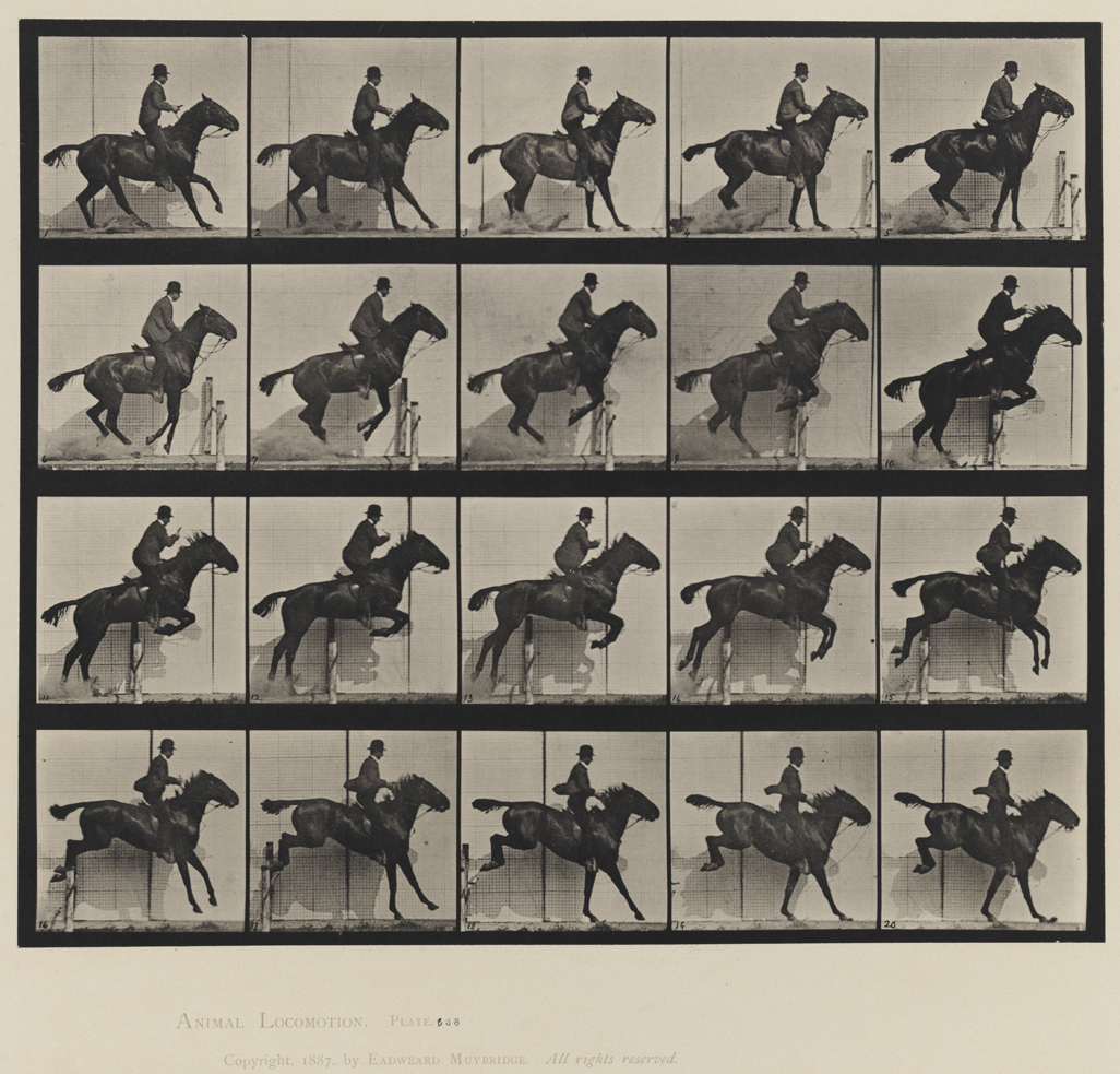 Animal Locomotion, Volume IX, Horses. Plate 638
