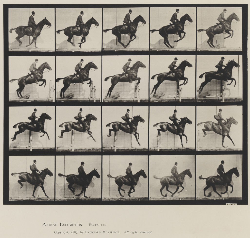Animal Locomotion, Volume IX, Horses. Plate 640