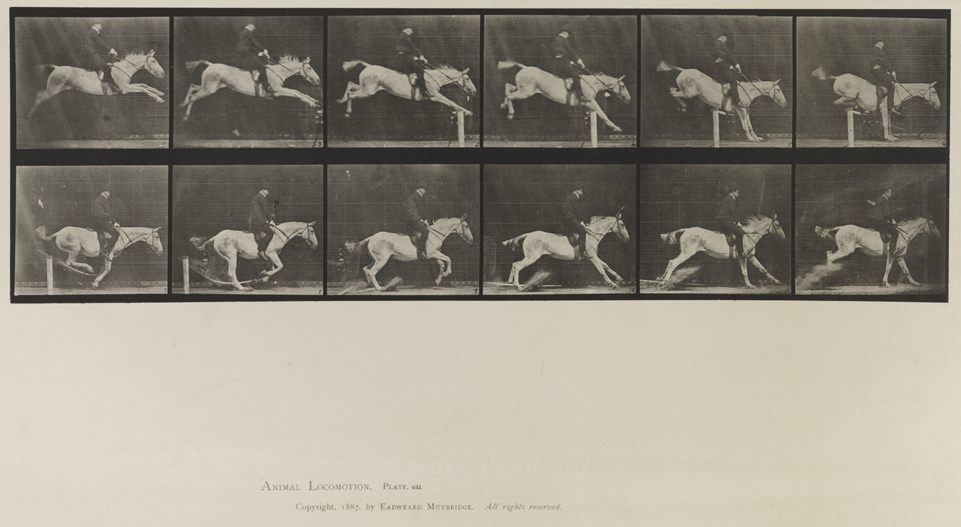 Animal Locomotion, Volume IX, Horses. Plate 641