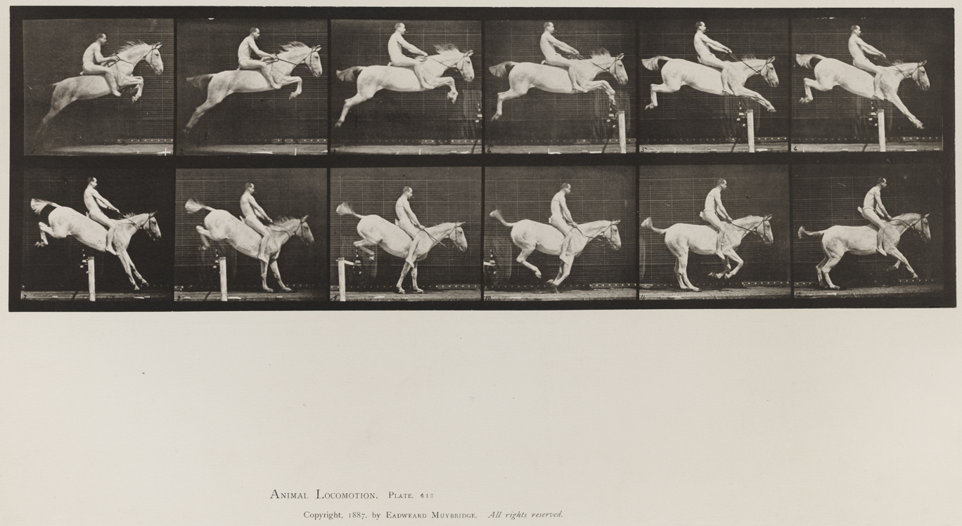 Animal Locomotion, Volume IX, Horses. Plate 643