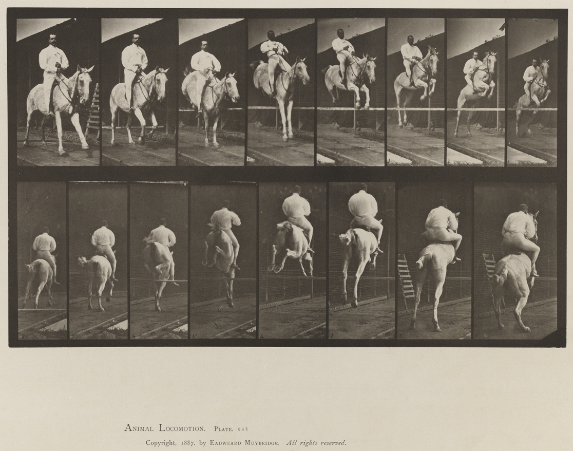 Animal Locomotion, Volume IX, Horses. Plate 644