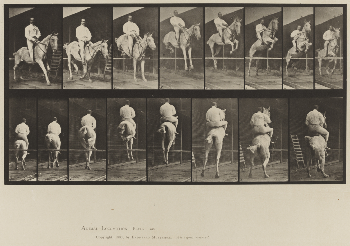 Animal Locomotion, Volume IX, Horses. Plate 645