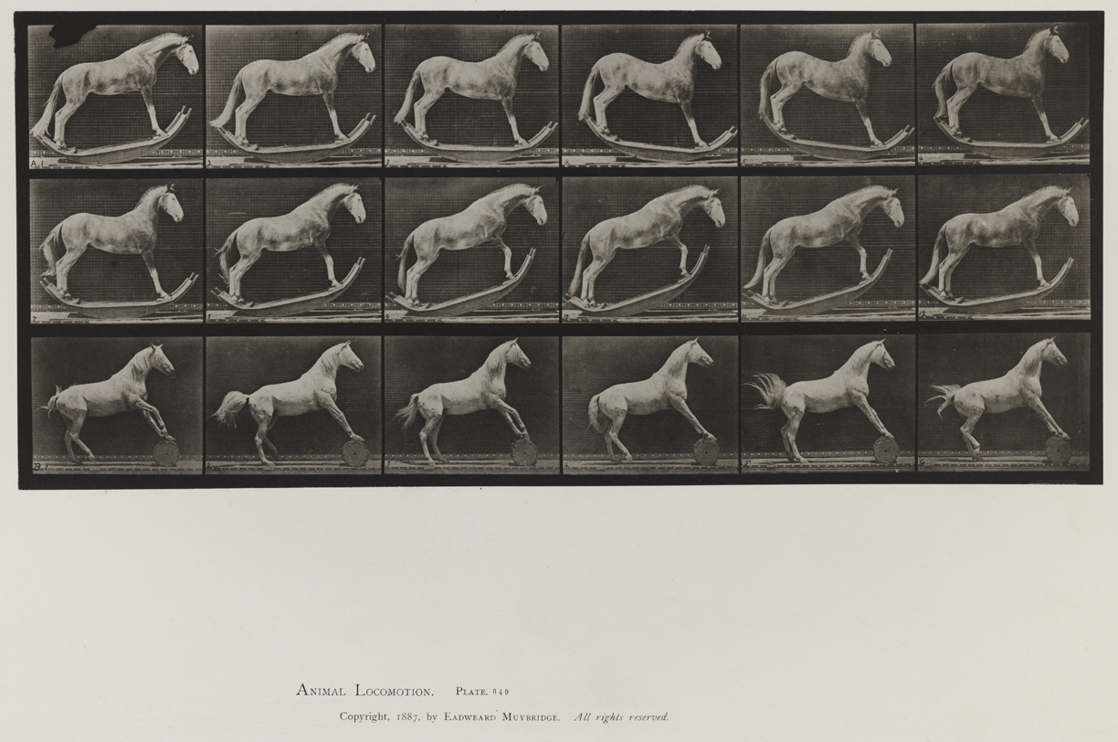 Animal Locomotion, Volume IX, Horses. Plate 649
