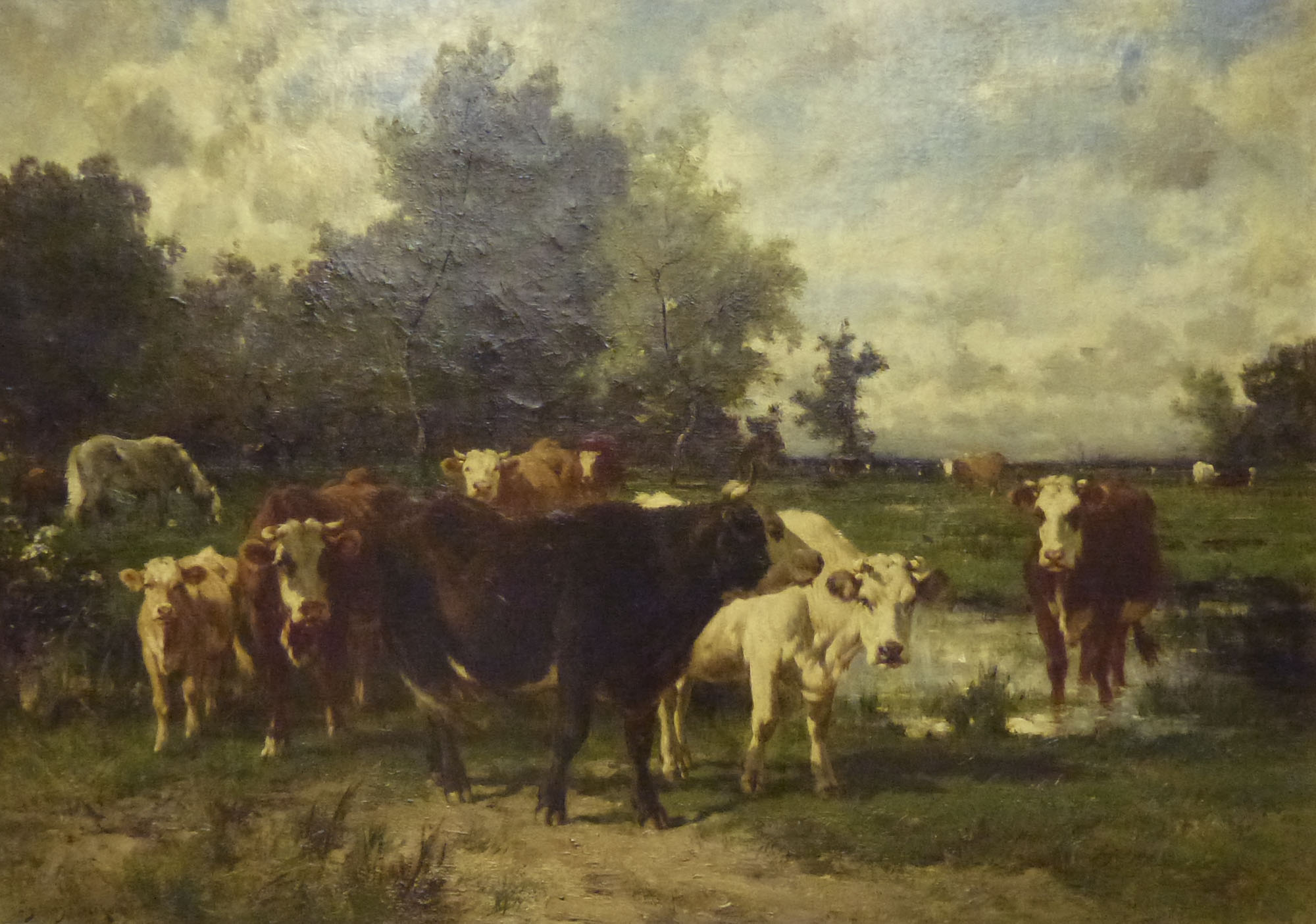 Cattle in the Meadow