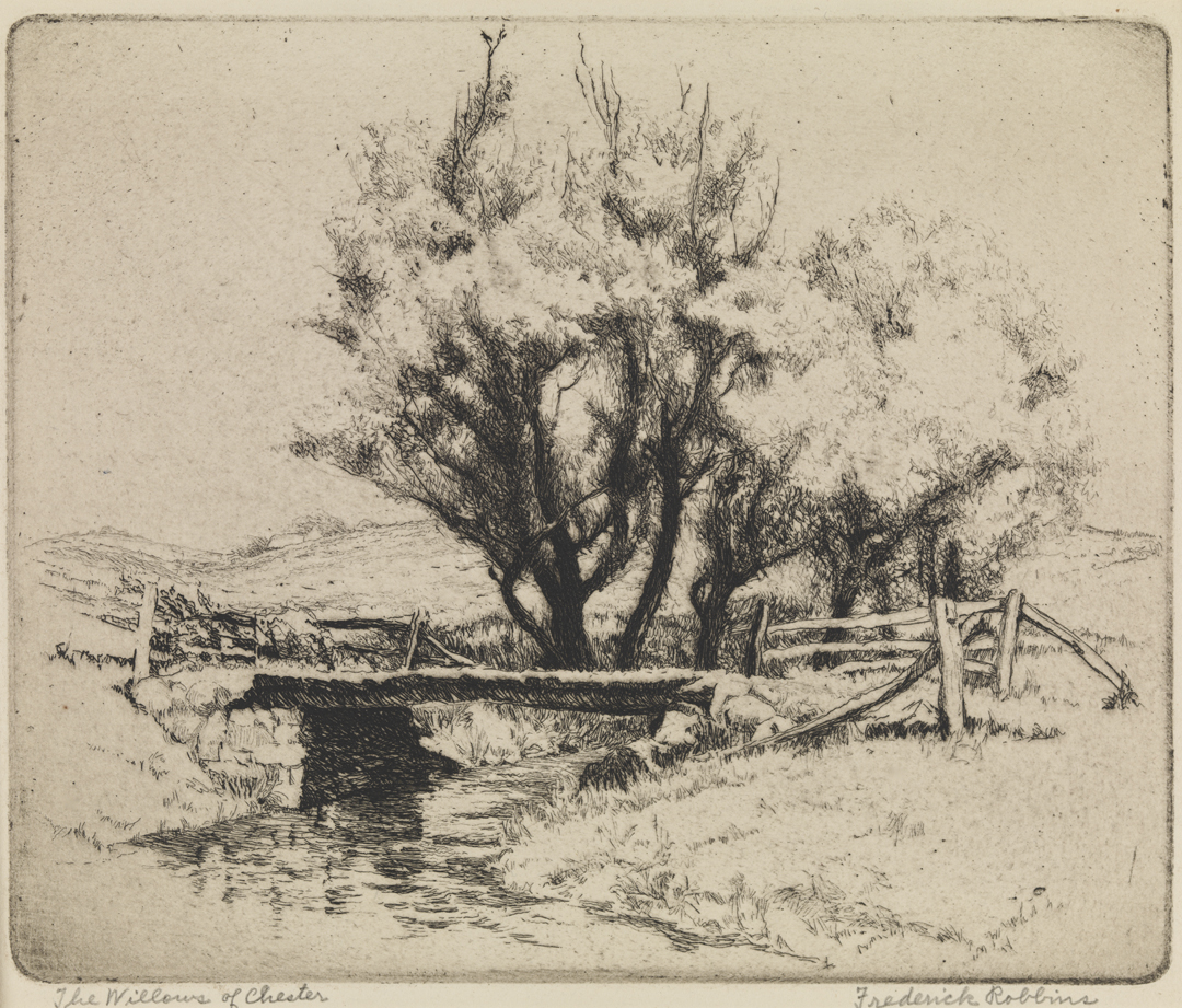 The Willows of Chester