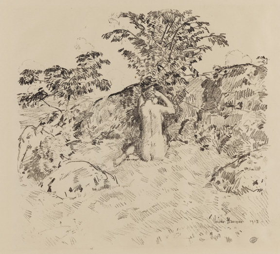 The Wild Cherry Tree