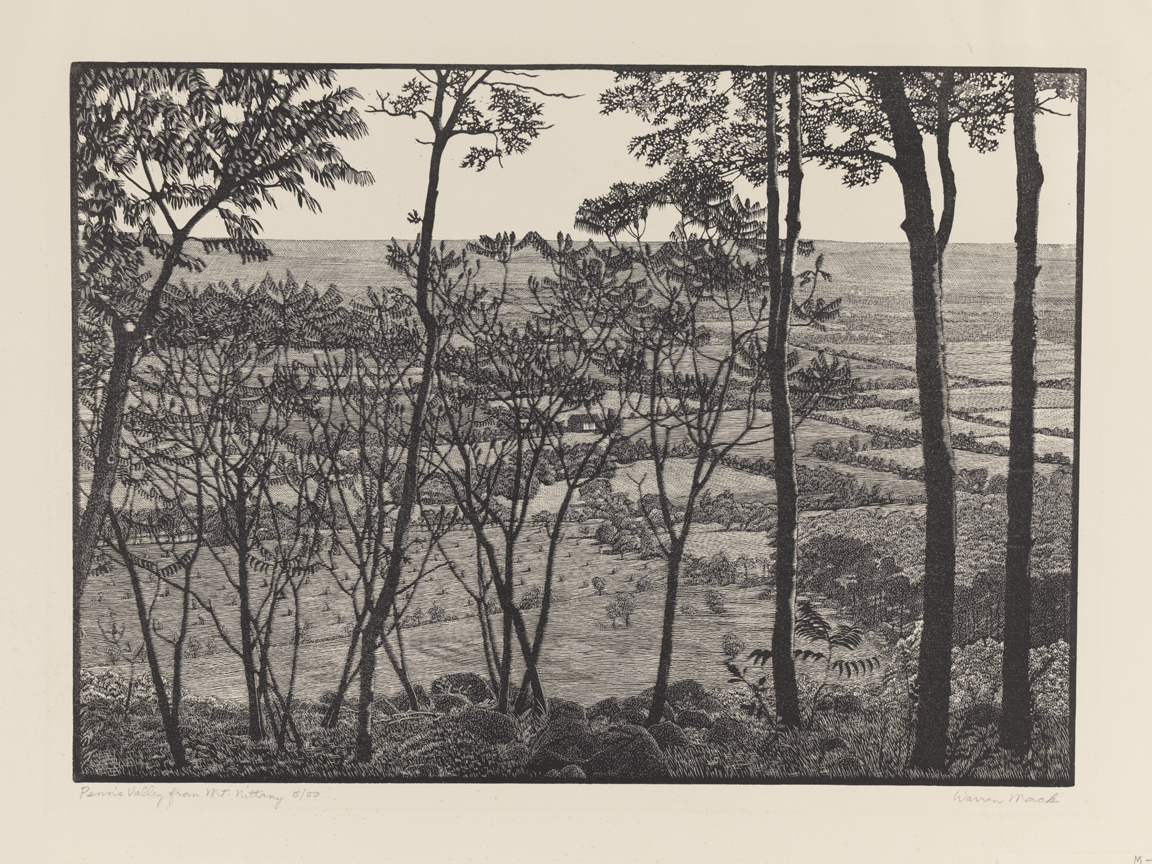 Penn's Valley from Mt. Nittany