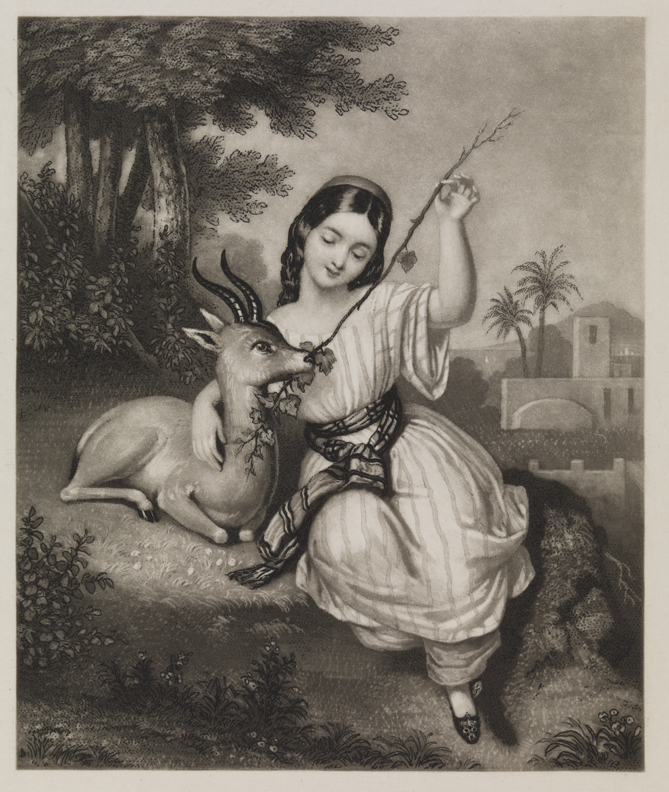 [The Pet Deer (also known as "The Gazelle")]
