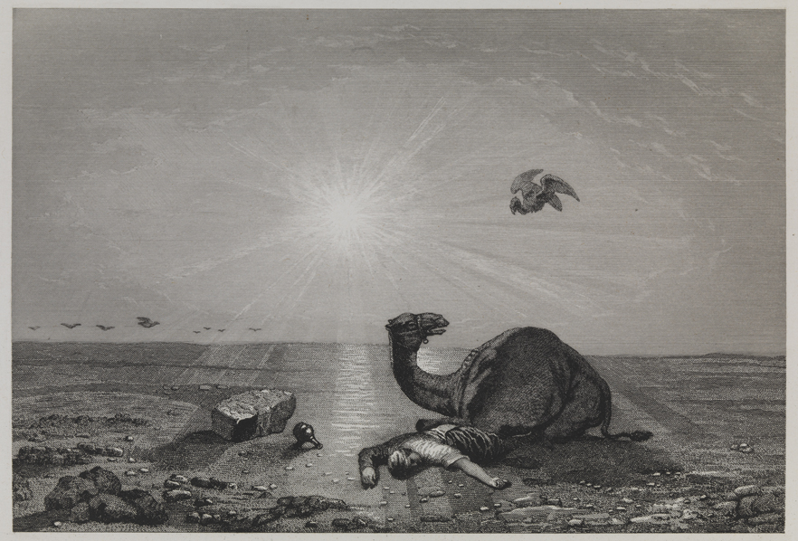 [Camel and man on desert]