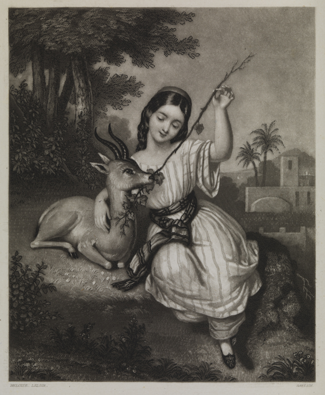 The Pet Deer (alos known as "The Gazelle")