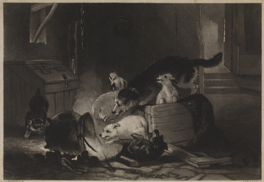 [Dogs with overturned pot]