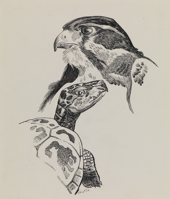 Birds of the Air and Beasts of the Field