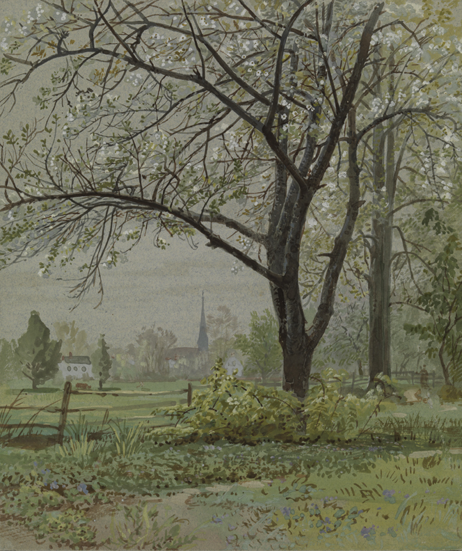 [Landscape: spring scene]