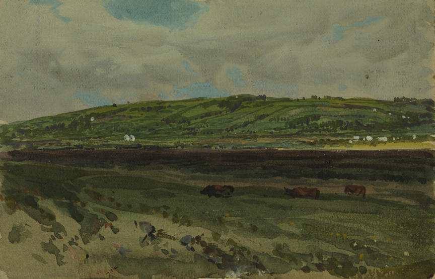 [Hillside with cattle]