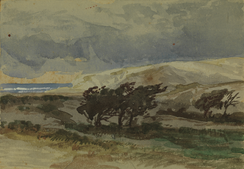 [Trees on coastline]