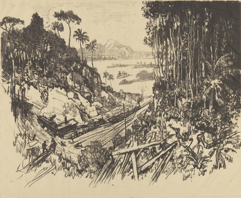 [Panama Canal Series]: The Jungle