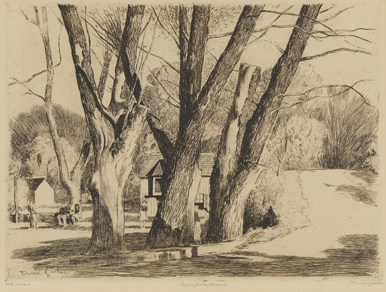 Spring Valley Willows