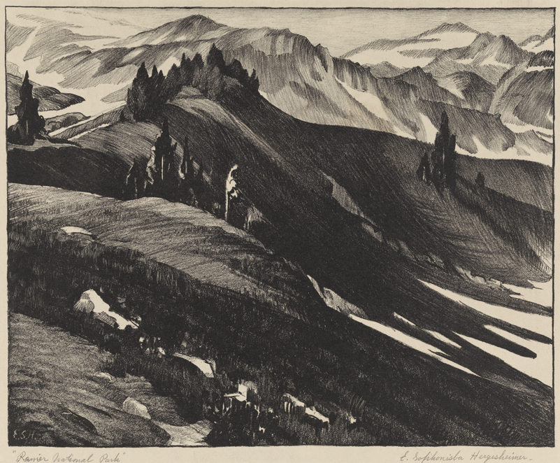 Ranier National Park