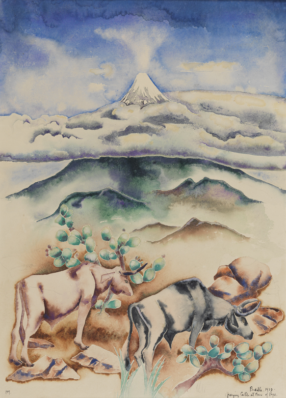 Grazing Cattle at Base of Popo (Catapetl, Mexico)