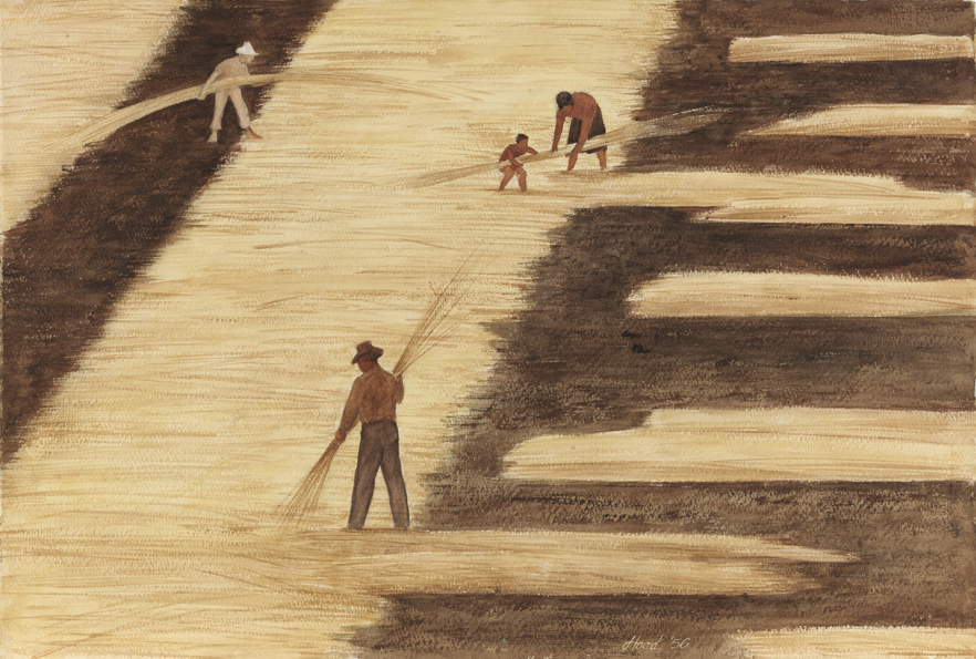 Sorting Totora, Peru