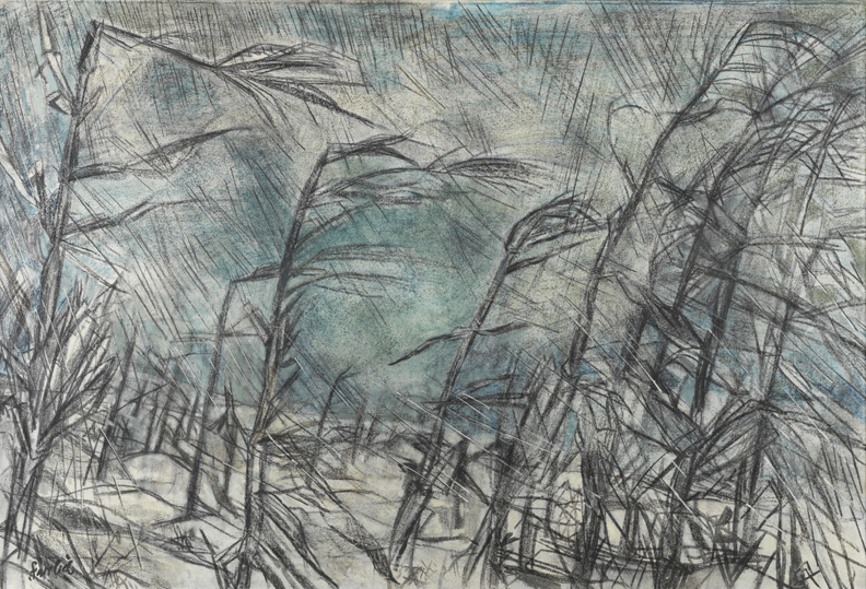 Corn, Wind, and Snow 