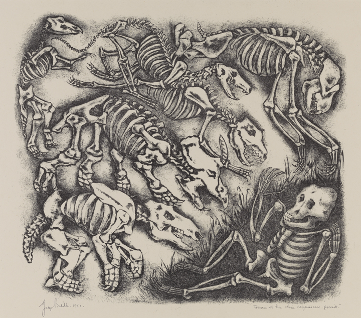 Frosam et hic olim requiescere possit