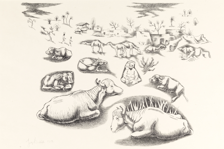 Rajasthani Landscape - India