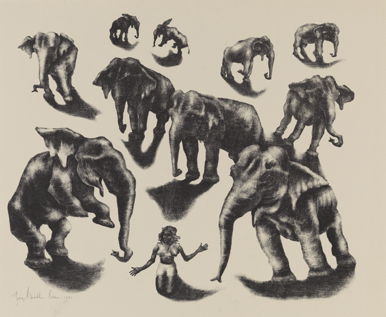 Ten Elephants