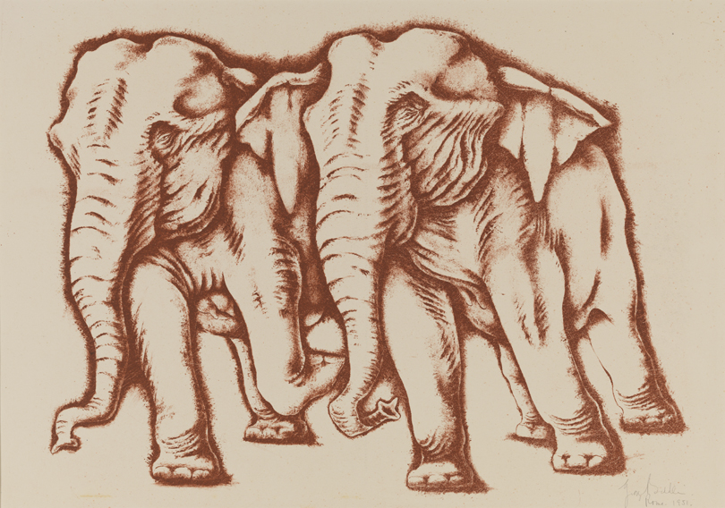 Two Elephants