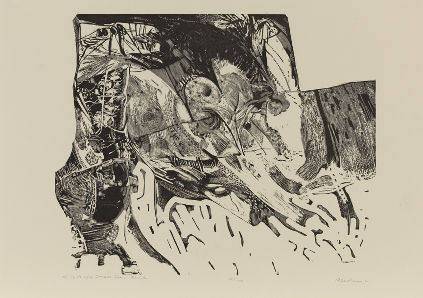 A Cycle of a Small Sea: Fowl