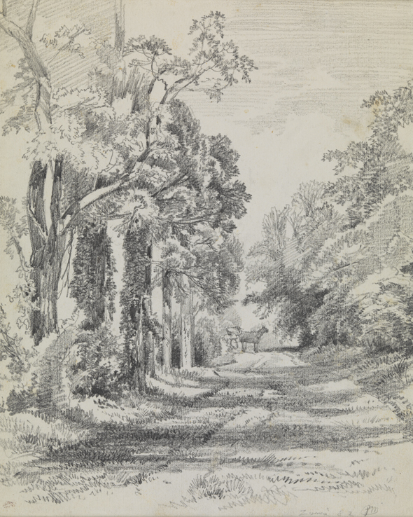 [Landscape with horse and buggy]