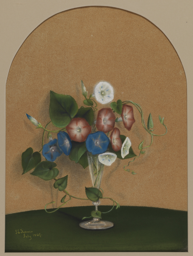 [Vase of red, white, and blue morning glories]