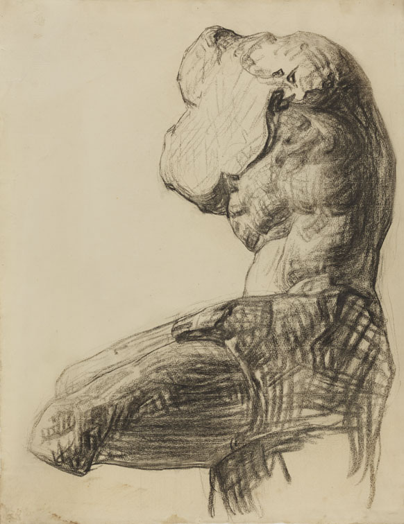 [Cast drawing: Belevdere torso]