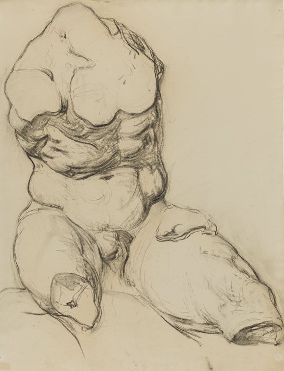 [Cast drawing: Belvedere torso]