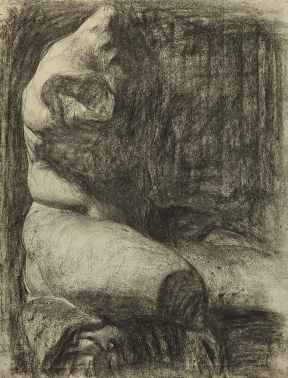 [Cast drawing: Belvedere torso from right]