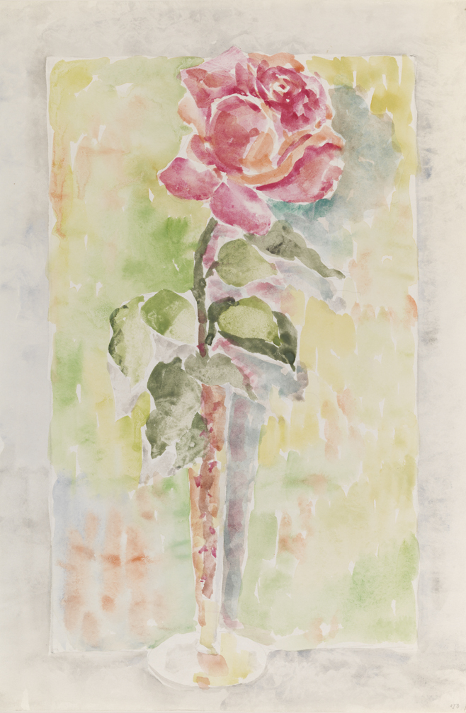 [Still life: single rose in vase]