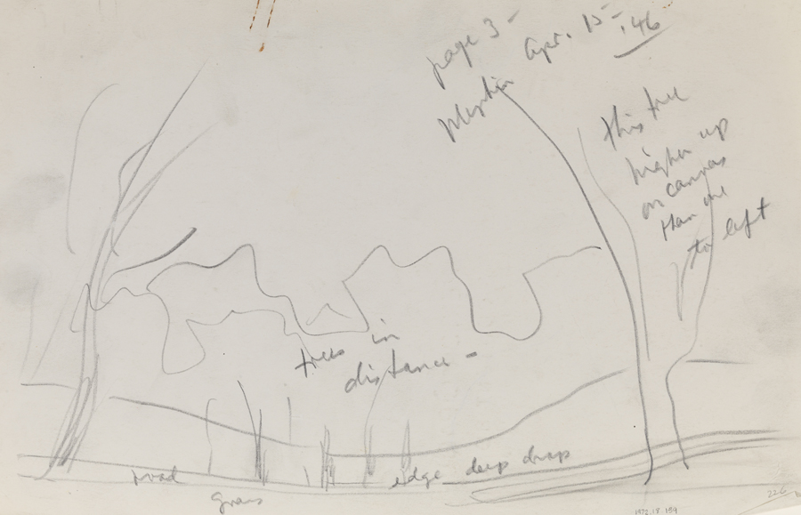 [Mepkin Plantation: outdoor study]