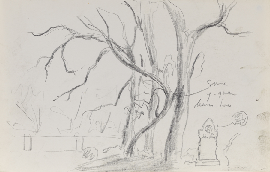 [Mepkin Plantation (?): study of trees and tombstone]
