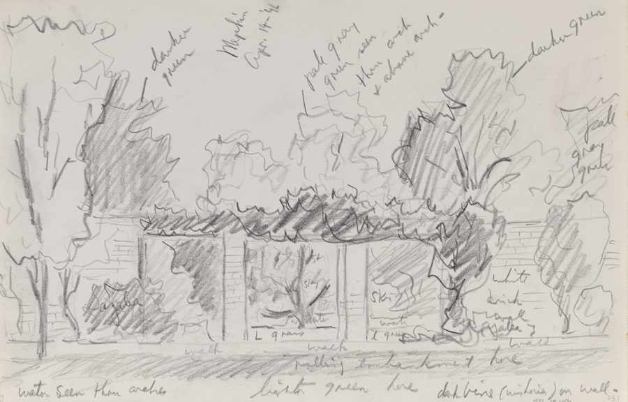 [Mepkin Plantation: outdoor study]